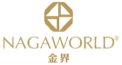 PHNOM PENH CAMBODIA 9D VIP LOUNGE logo